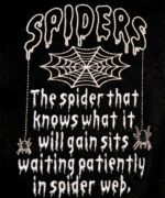 SPIDERS